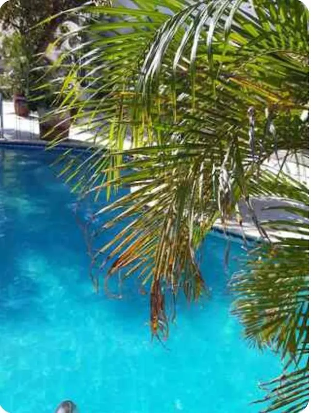 Kapslový hotel Hotel Harmony Capsule Oranjestad